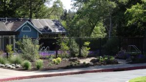 softscape landscaping in Oakley, CA